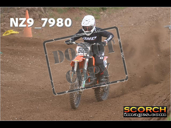 Experts-300