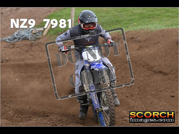 Experts-301