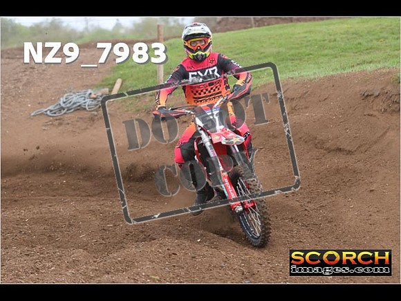 Experts-303