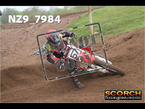 Experts-304