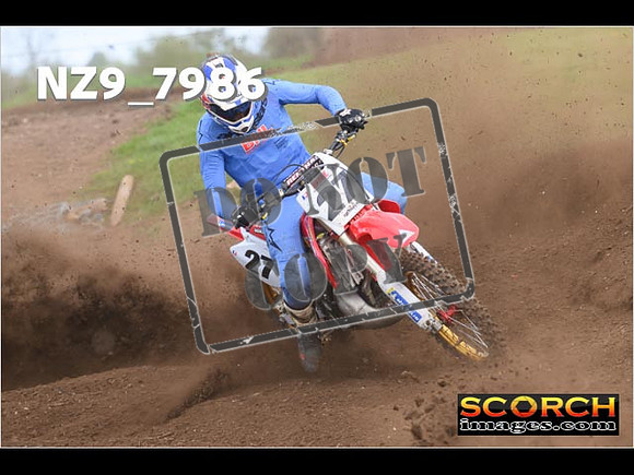 Experts-306