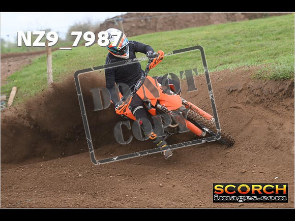 Experts-307