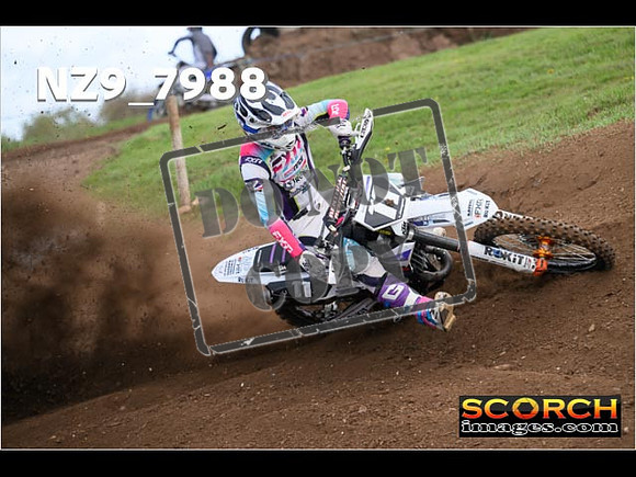 Experts-308