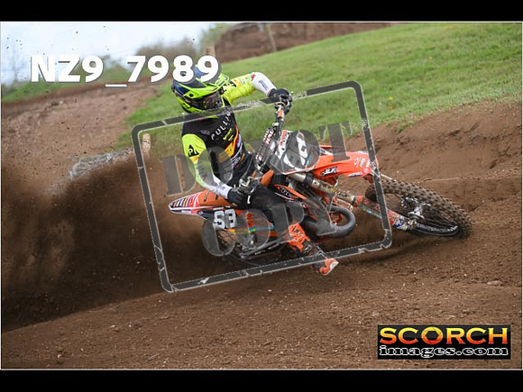 Experts-309