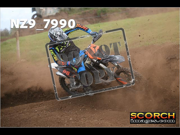 Experts-310