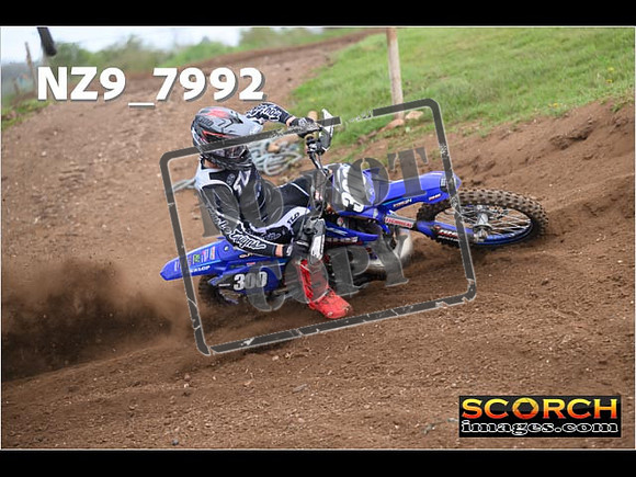 Experts-312