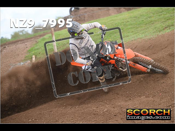 Experts-315