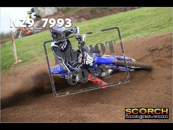 Experts-313