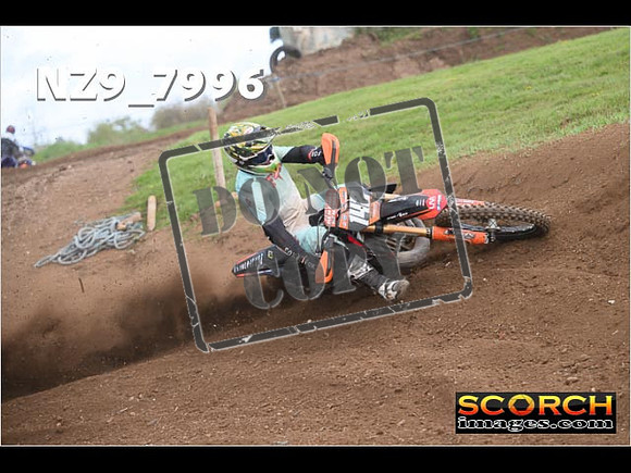 Experts-316
