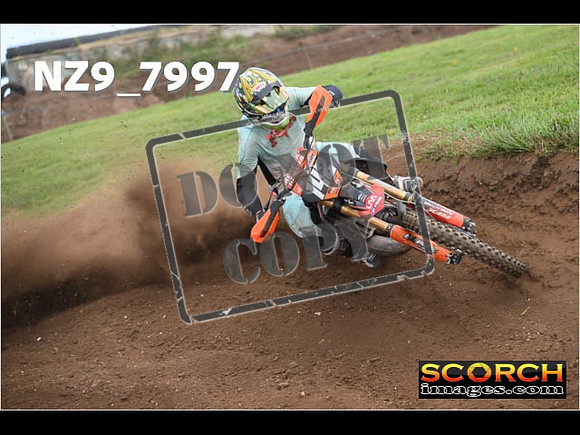 Experts-317