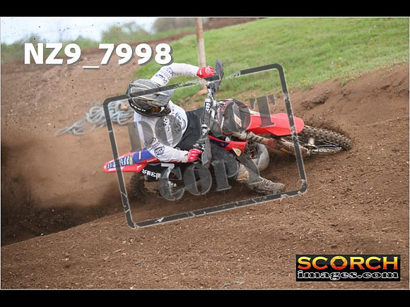 Experts-318