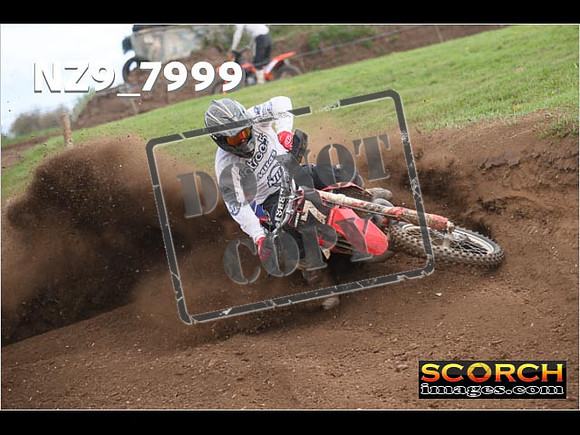 Experts-319