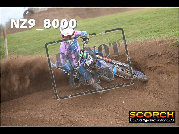 Experts-320