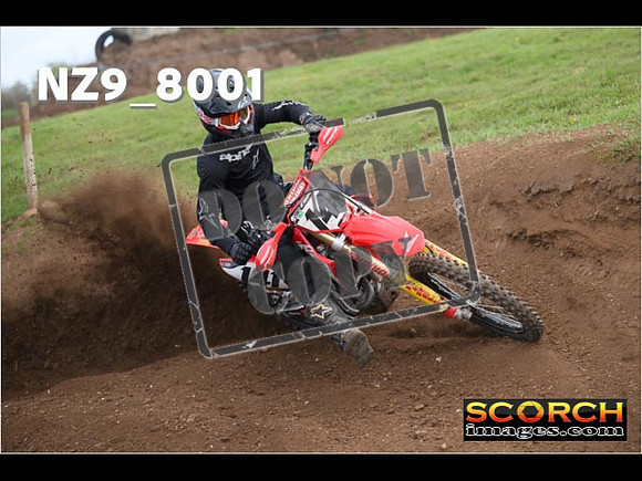 Experts-321