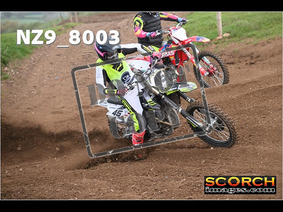 Experts-323