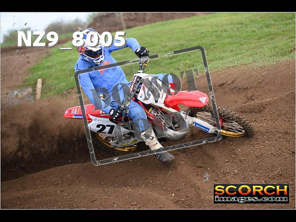 Experts-325