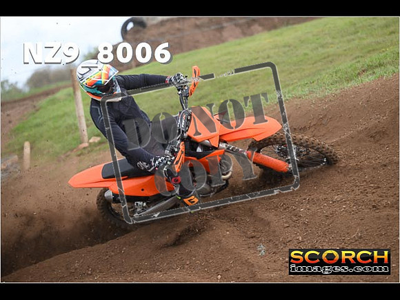 Experts-326
