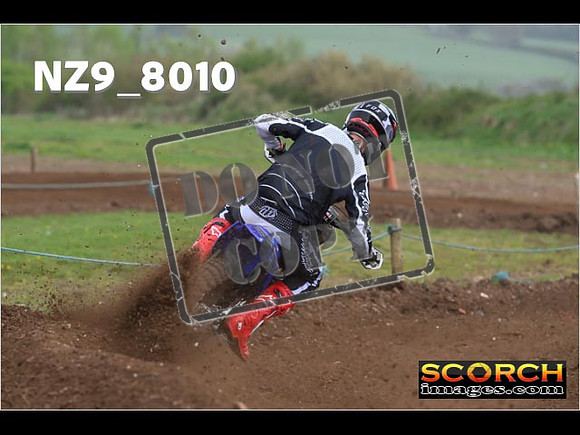 Experts-330