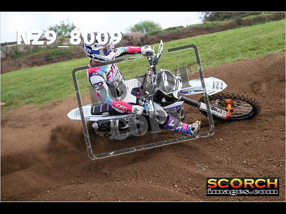 Experts-329