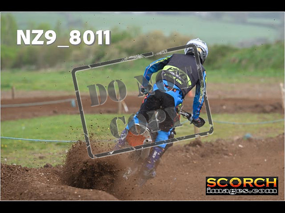 Experts-331