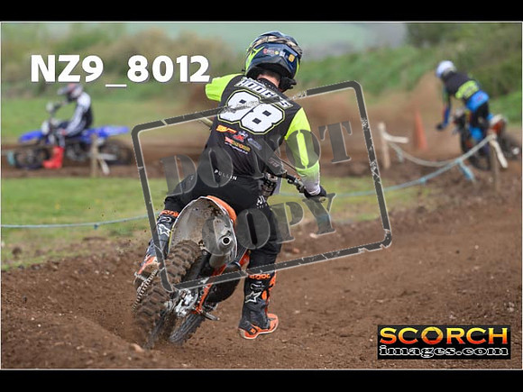 Experts-332