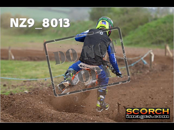 Experts-333