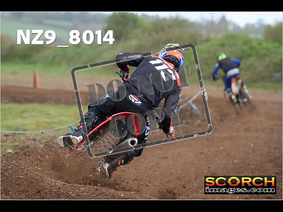 Experts-334