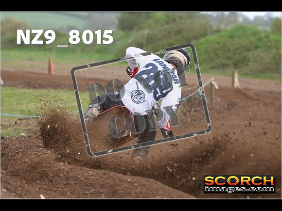 Experts-335