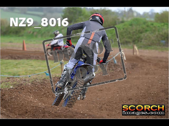 Experts-336