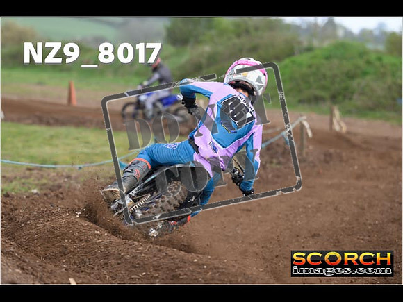 Experts-337