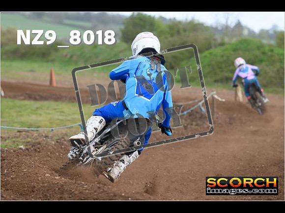 Experts-338
