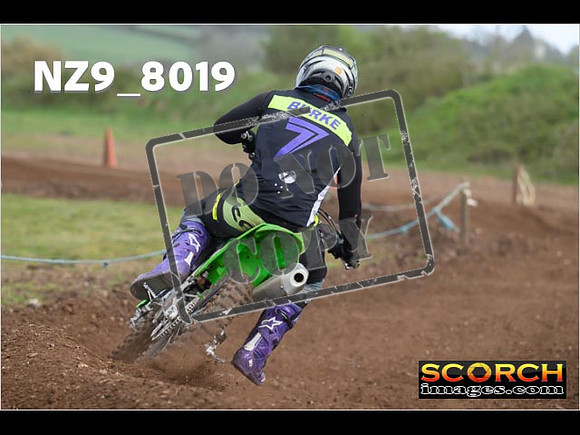 Experts-339