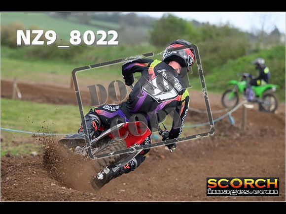 Experts-341