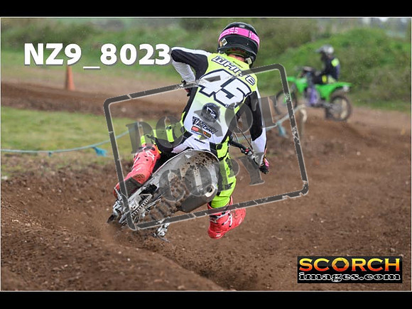 Experts-342