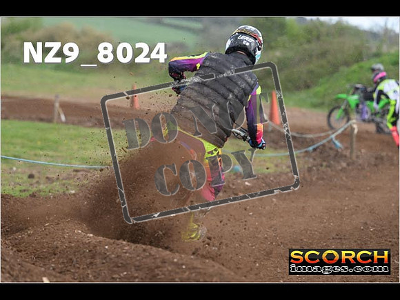 Experts-343