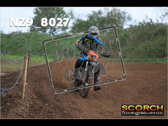 Experts-345