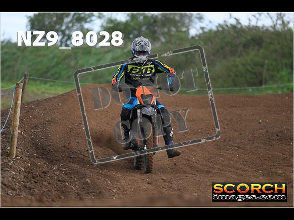 Experts-346