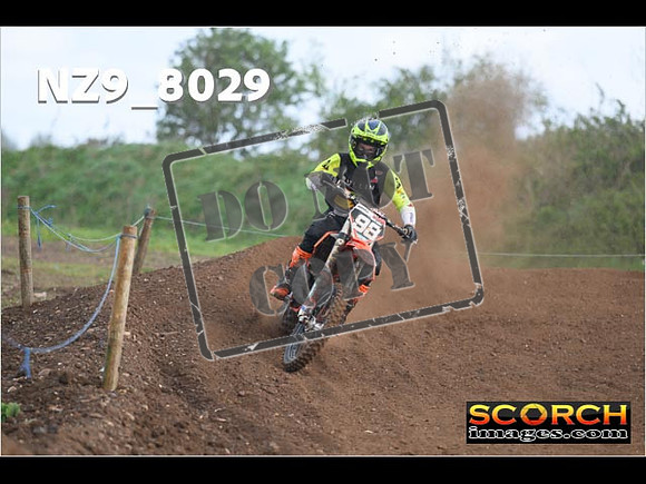 Experts-347