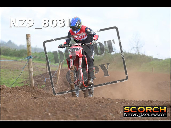 Experts-349