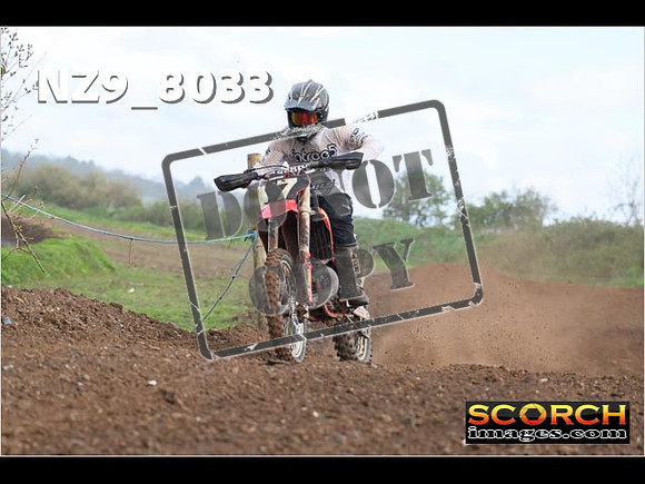 Experts-351
