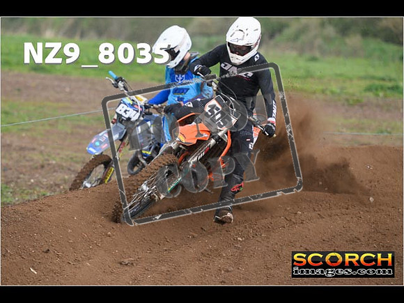 Experts-353