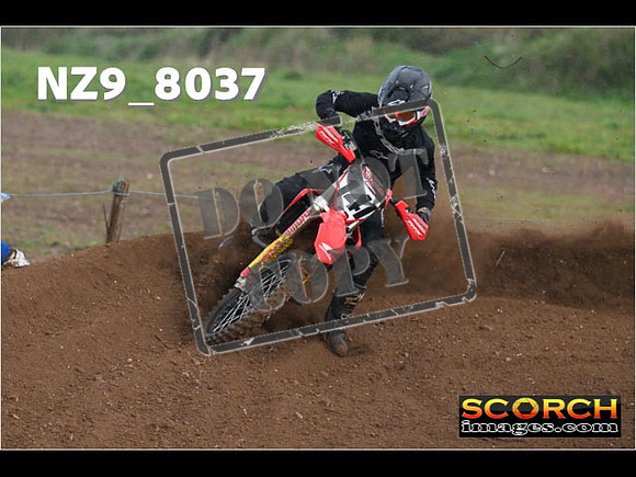 Experts-355