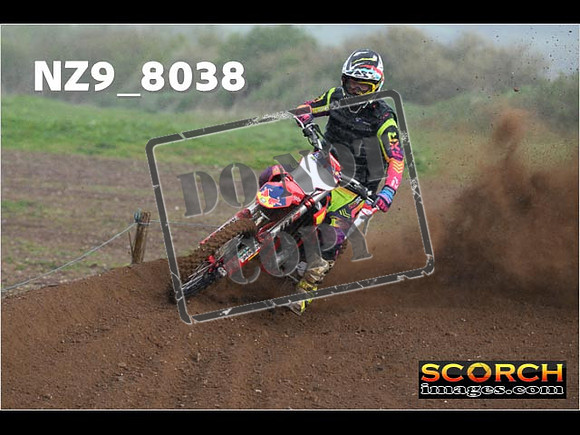 Experts-356