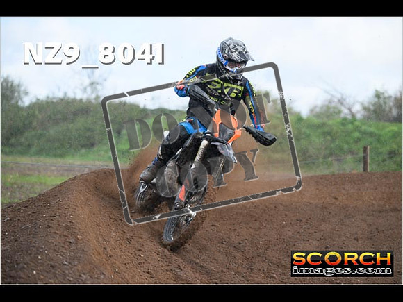 Experts-359