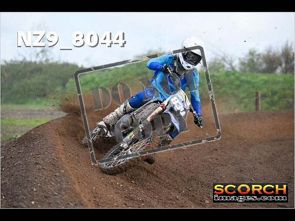 Experts-361