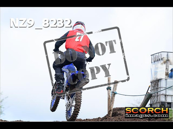 Experts-379