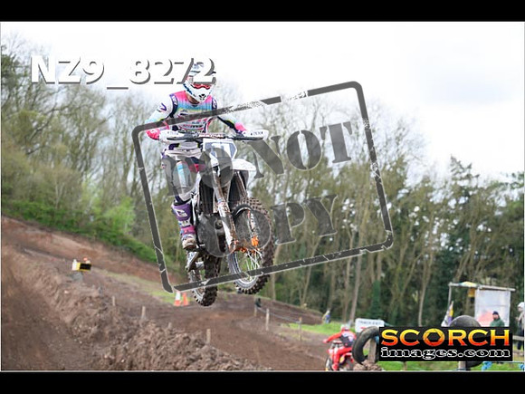 Experts-419