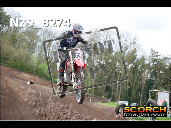 Experts-421