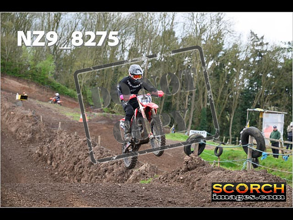 Experts-422