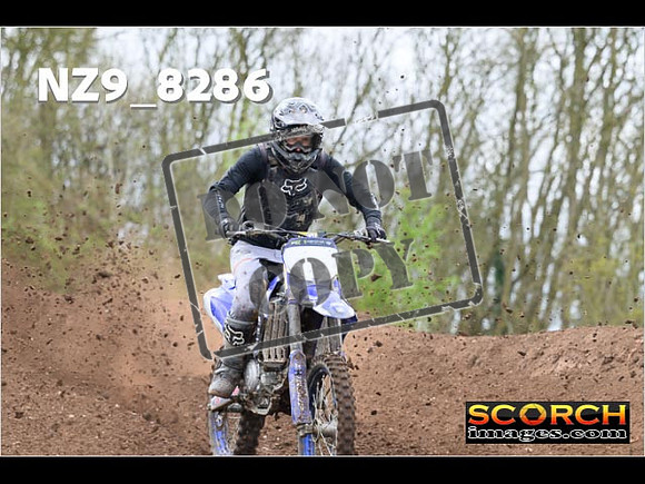 Experts-433